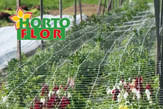 HORTOFLOR support netting installed horizontally over commercial crop rows