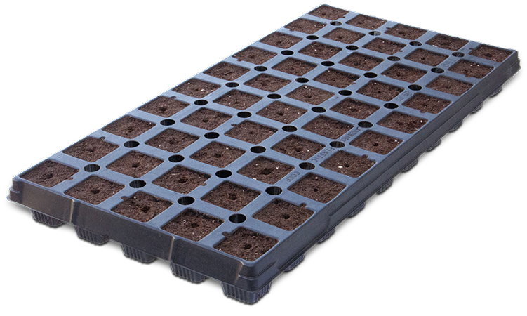 iHort T50 Excel Plug Tray top view