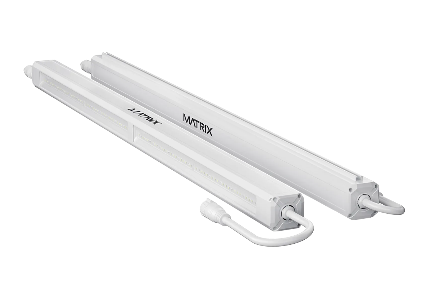 LTL 200W Linear pair with daisy chain cable