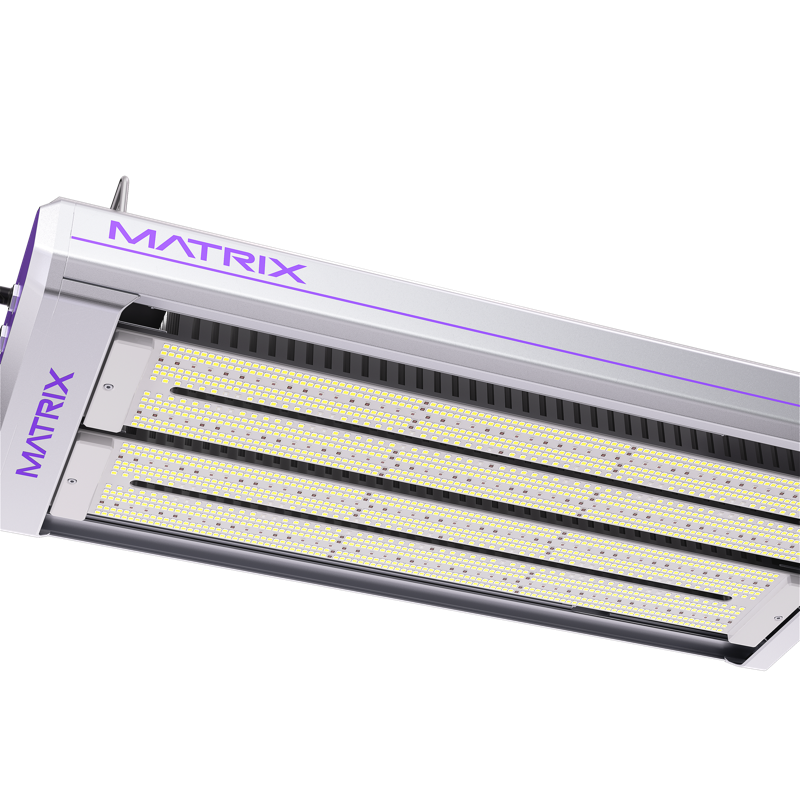 VEGA Dyna 1000W front view