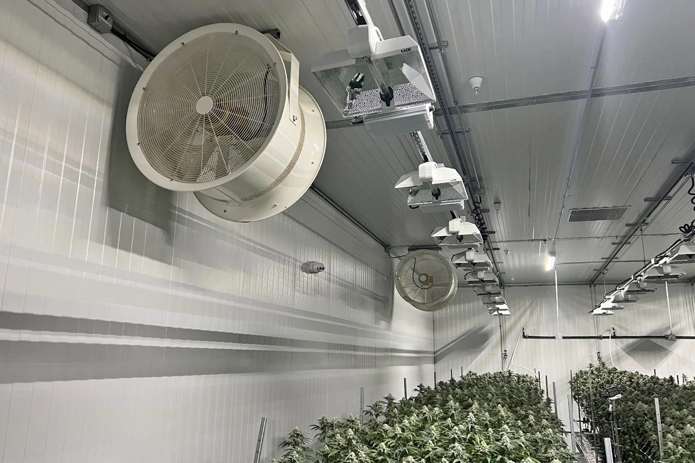 Patterson fan mounted on a vertical grow rack
