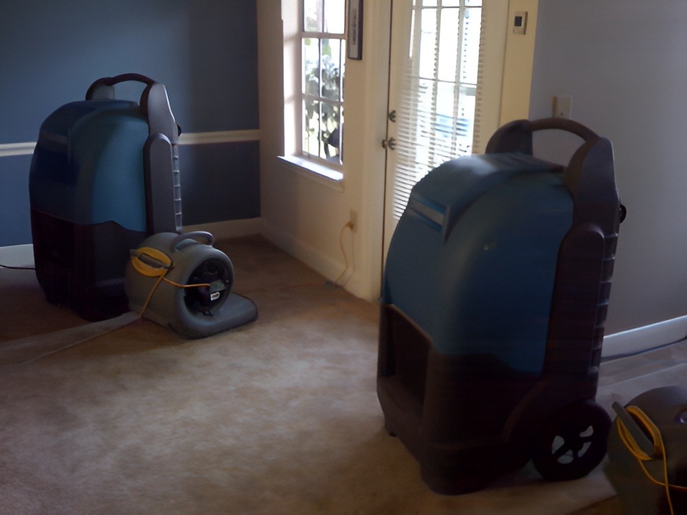 Liezig Dehumidifiers