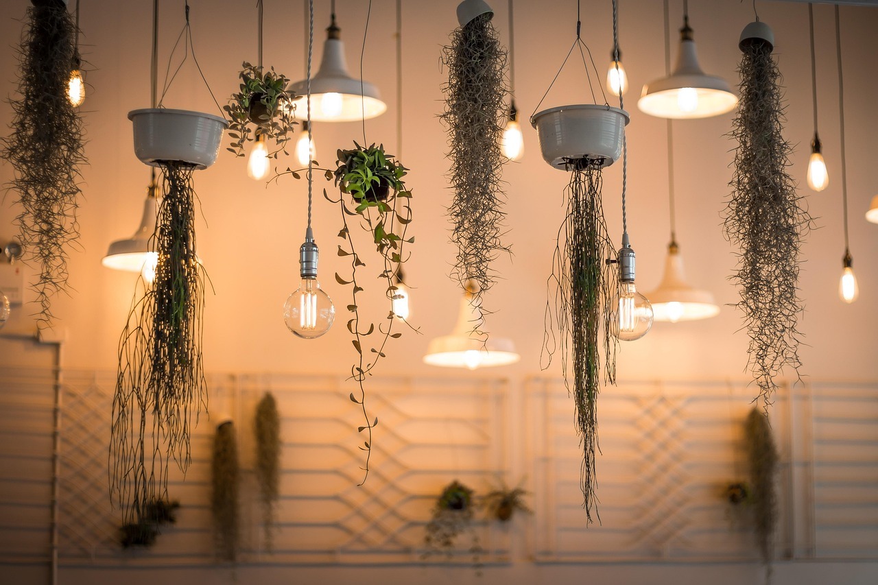 lights, decoration, illuminated, interior design, plants, light bulbs, hanging plants, incandescent, nature, lighting, interior decoration